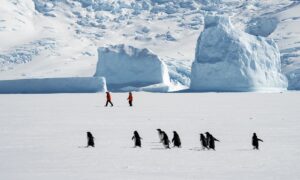 Antarctic ice sheet loss temporarily slows due to remote influence of tropical warm pool: Chinese, foreign scientists