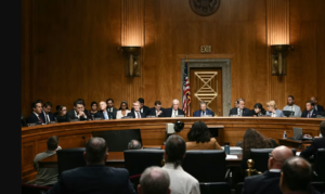 What happens now that a Senate panel voted to hold Fauci in contempt